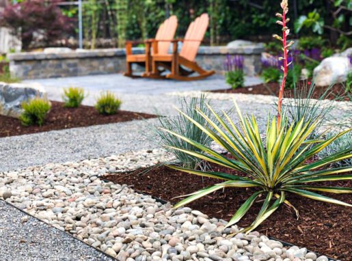 lawn-free-landscape-design-cropped