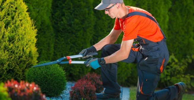 Why It’s Important for You to Get Regular Plant and Garden Maintenance