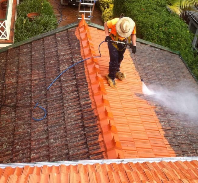 roof-cleaning-1-scaled-1