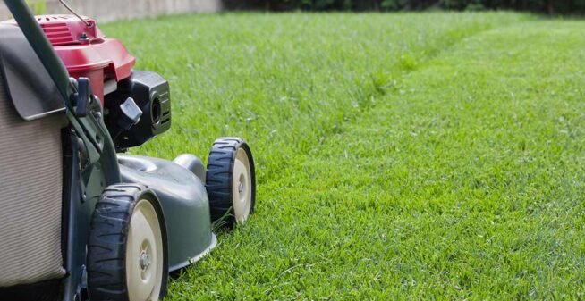 start-lawn-care-business